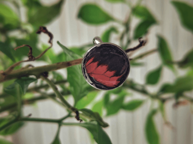 Butterfly Wing Ring