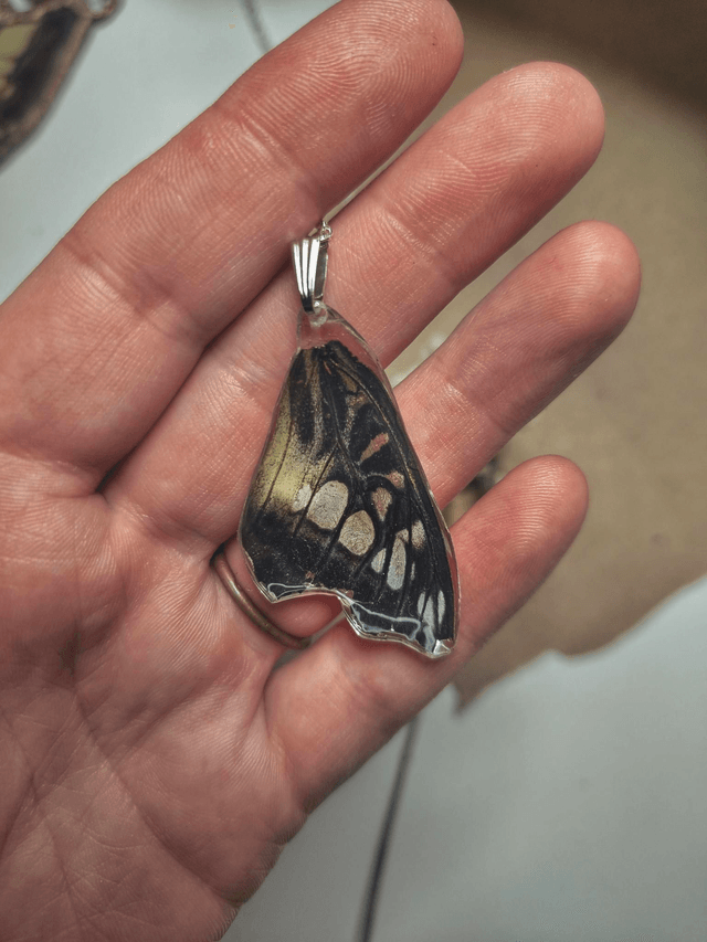 Real Butterfly Wing Necklace 