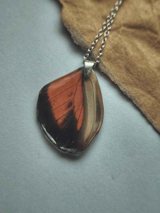 Butterfly Hind Wing Necklace