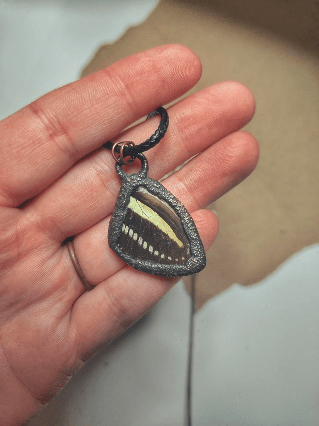 Copper Framed Butterfly Wing Necklace 