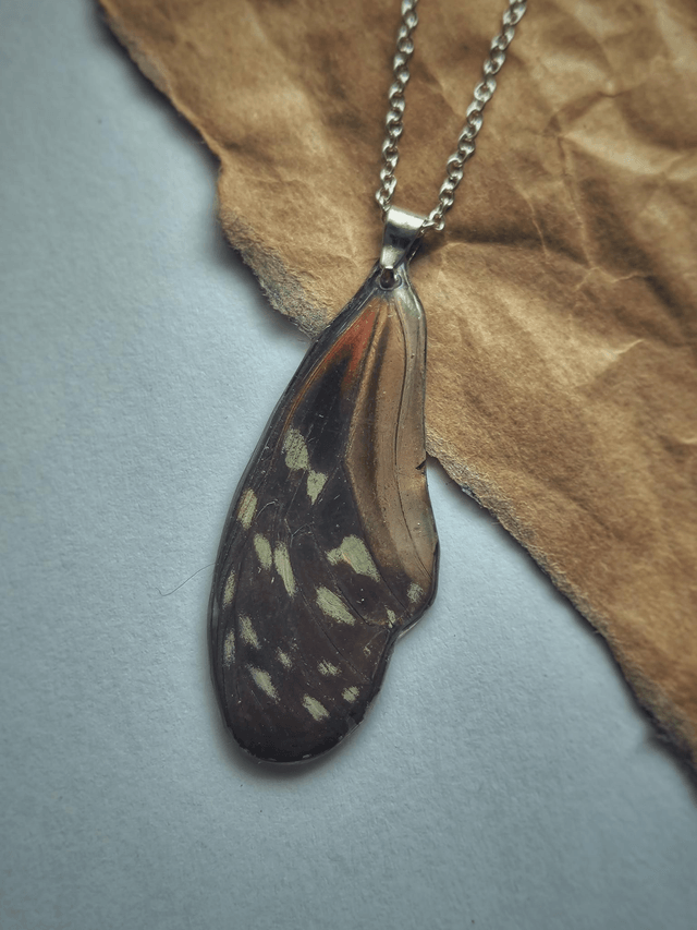 Butterfly Front Wing Necklace