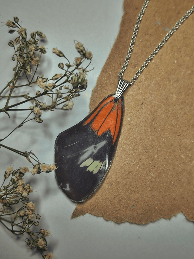 Real Butterfly Front Wing Necklace
