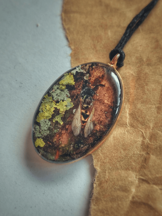 Wasp and Bark