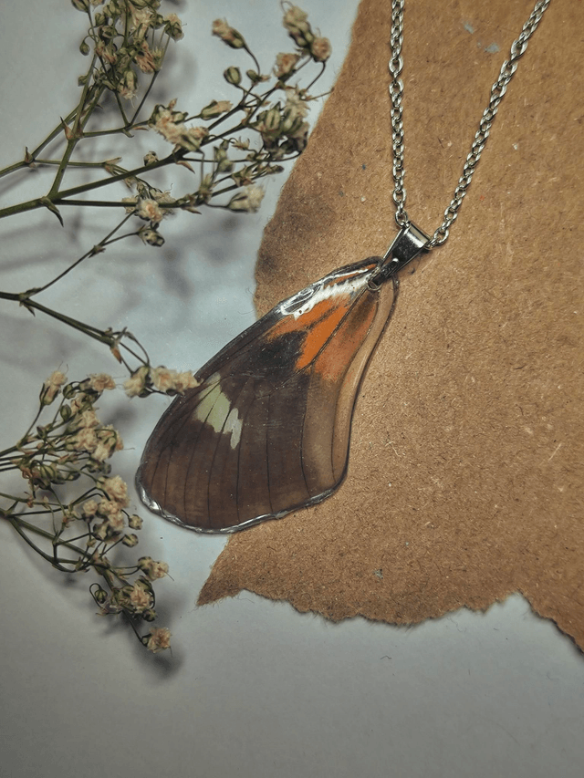 Real Butterfly Front Wing Necklace