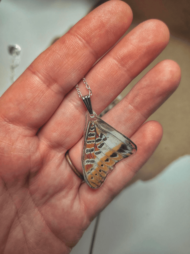 Real Butterfly Wing Necklace