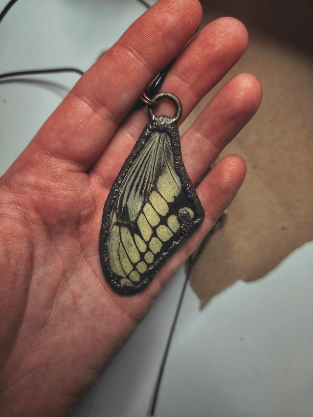 Copper Framed Butterfly Wing Necklace