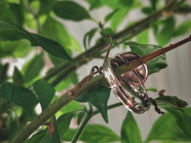 Preserved Floral Ring