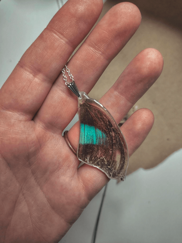 Real Butterfly Wing Necklace