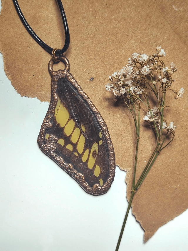 Copper Framed Butterfly Wing Necklace