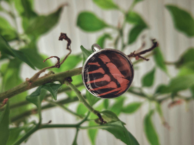 Butterfly Wing Ring