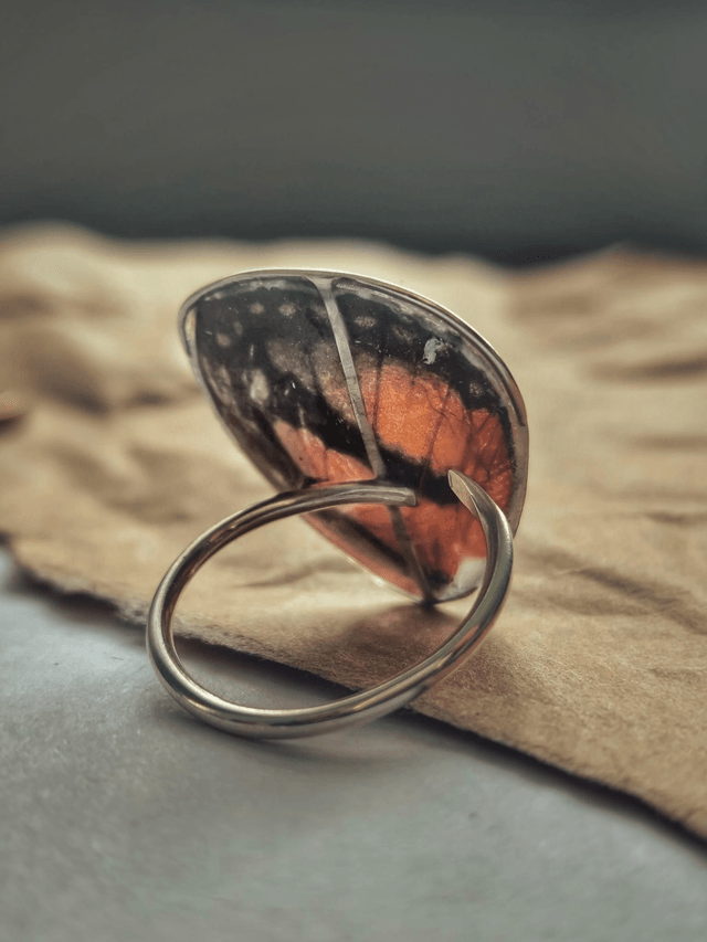 Butterfly Wing Ring