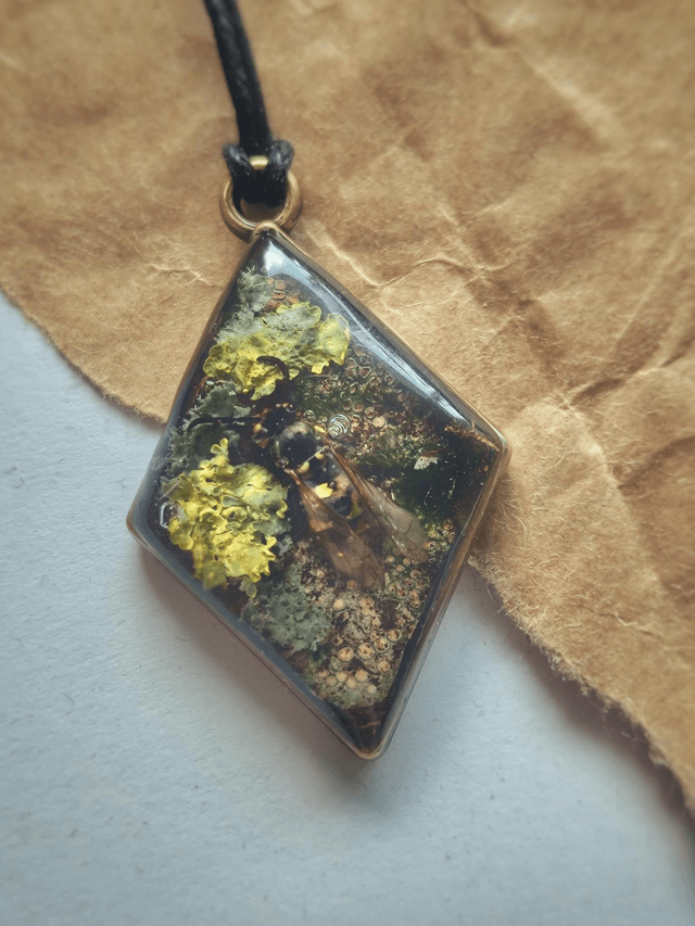 Wasp and Bark